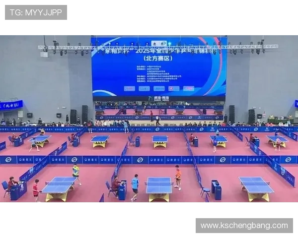 全国锦标赛回顾：北京乒乓球队技术水平的全面分析与展望